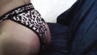 avasugar 29052026