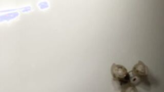A-----------YA_2026-05-26_2