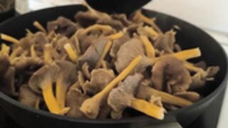 lolaprincessxo - Cooking and eating mushroom sauce