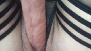 praesertim_2026-06-06_1