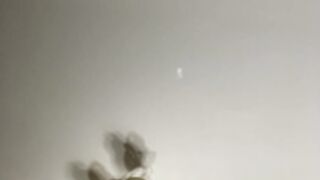 praesertim_2026-05-26_3