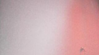 Tomelise_2023-09-01_1