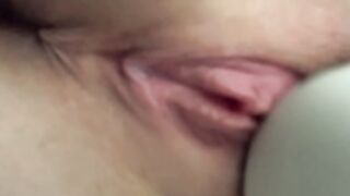 Piper perri 10