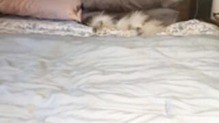 Victoriarrose 20