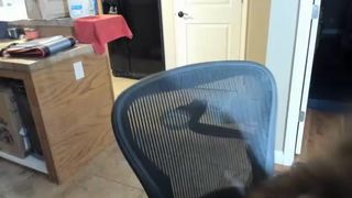 Chroniclove - some brief bating/anal teasing + toy bj