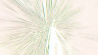 taanni_bc 2026-05-22_04-50-54-002