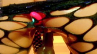 Renata_Miller 5-25-26p3