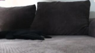 Megan__stoone - Hot big tits - part 2
