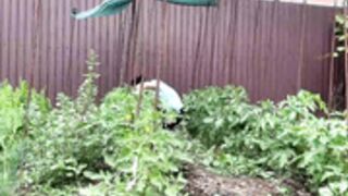 devilbunny01 2026-06-02_09-14-34