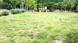 devilbunny01 2026-06-02_09-48-12