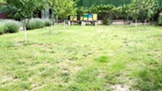 devilbunny01 2026-06-02_09-48-12