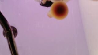 Roserose 1130252