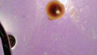 Roserose 1129252