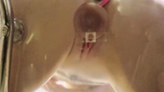Roserose 011026