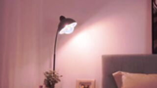LauLaveau Stripchat 2025-11-15_16-50-21