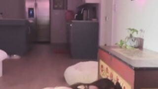 Senya Compilation