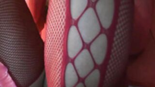 avasugar 24062026