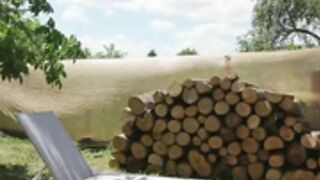 Alfafever squirt outdoors