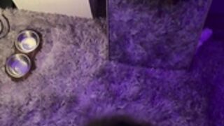 Miamiaof 2