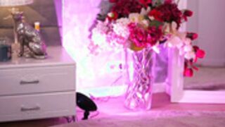 itsjessiebabe Stripchat 2026-06-19_20-56-56