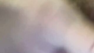 Lissa Polooza 3