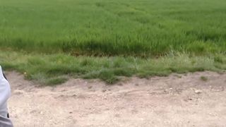 Koala221 webcam recording 2016 April 10_08-33-24