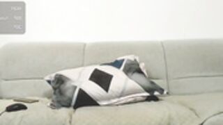 serenanyxon 13072026