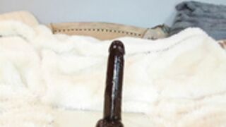 Eatmygingersnapps 7-22-26p5