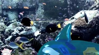 Chezlize cam recording 2016 April 28 060754