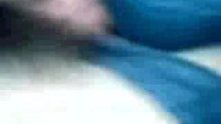 mamon chileno