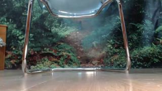 Sexyfoxy707 18-02-2017