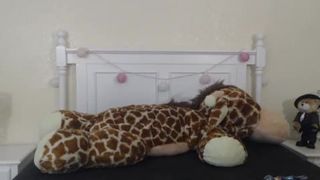 Dallas@Moore (Mini) 2