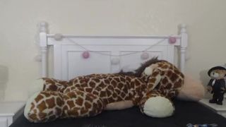 Dallas@Moore (Mini) 2