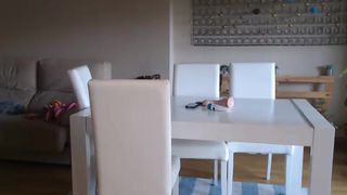 Palaustudio 21