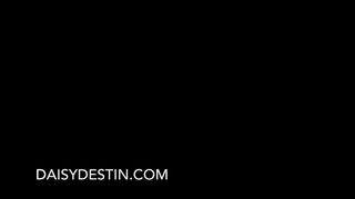 DaisyDestin 1