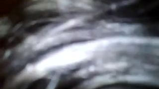 Vanesa Zanches De lDF