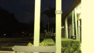 Domino Inc/Monroe Anal lush in public funny reactions