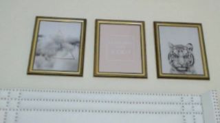 Domino Inc/Monroe lush is in