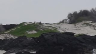 Haley420- Public Facial