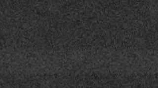 HON3Y$UKL flash pizza guy