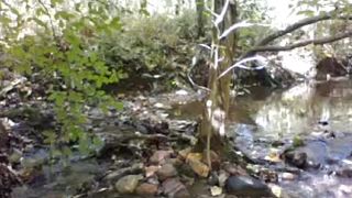 lilith forest part.4