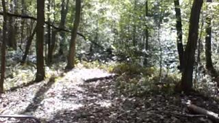 lilith forest part.2