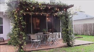 Backyard Shenanigans - Snugglepunk