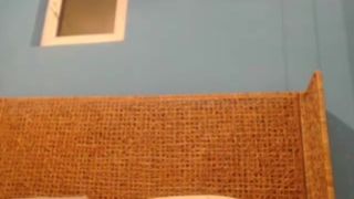 BigTitsMary2 huge areolas