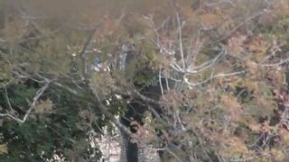 Voyeur Piss Hunter