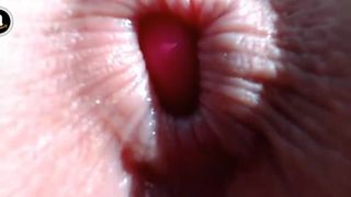 hoot_andreeaxxx lovense in ass