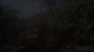 Voyeur Piss Hunter 2