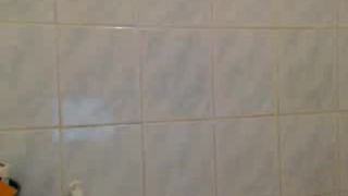 LanttiIrres / tits34M_size showering