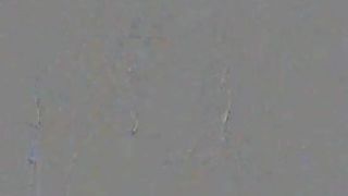 Missnerdydirty Fat Tit Teen Sucks a Black Dildo