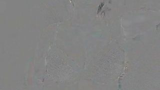 stifler mom lookalike with big breast and ass